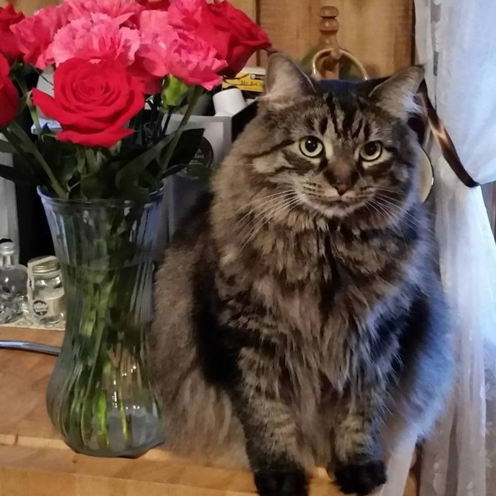 Meet your Posher, Deena